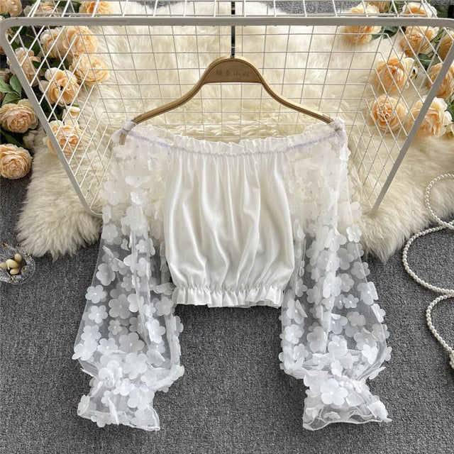 Sexy Off Shoulder Mesh Flower Long Sleeve Blouse