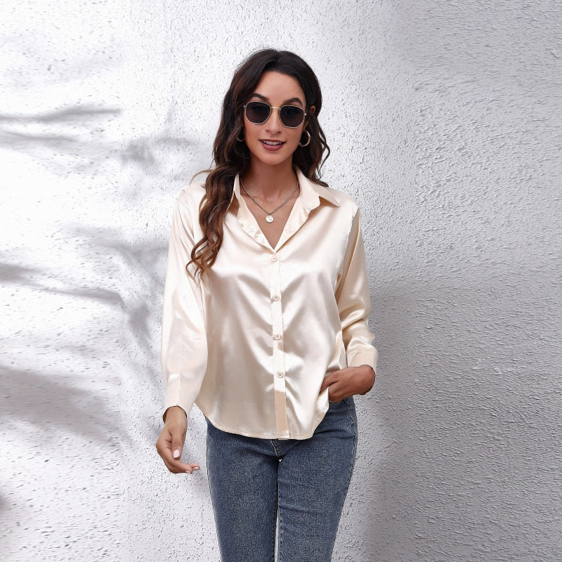 Elegant Long Sleeve Blouse