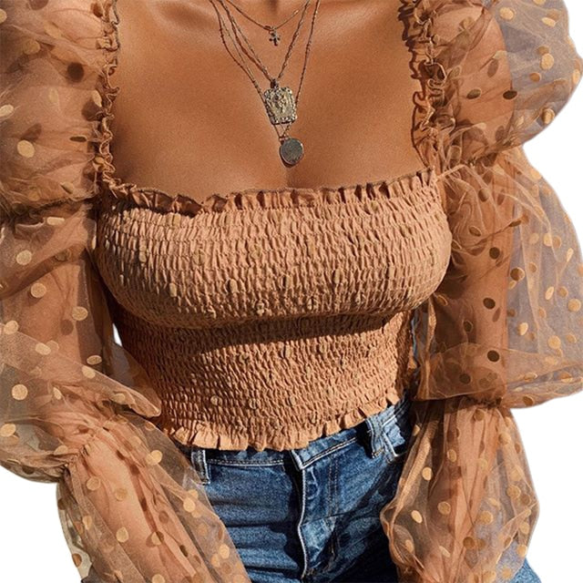 Mesh Sheer Puff Sleeve Blouse