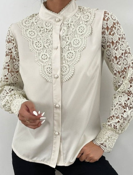 Long Sleeve O-Neck Mesh Vintage Button  Blouse